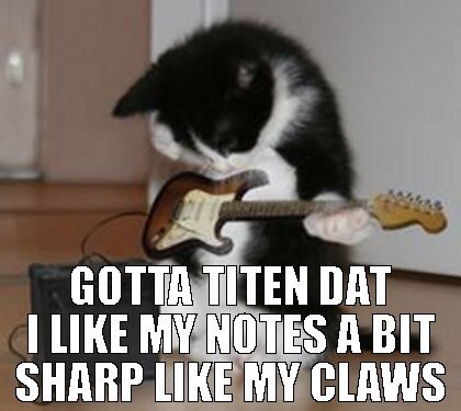 cat with a guitar