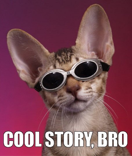 cool story cat